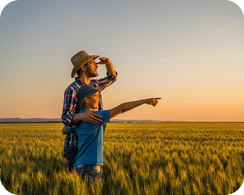 Man and child stand in a vast wheat field under a sunset sky, pointing toward the horizon