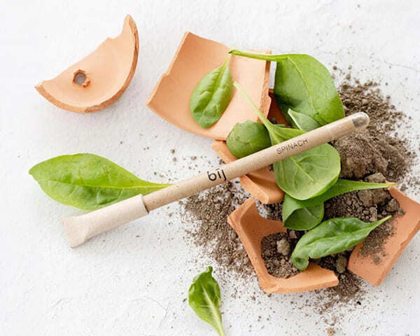 A spinach Bij seed stick pen amongst soil and spinach leaves