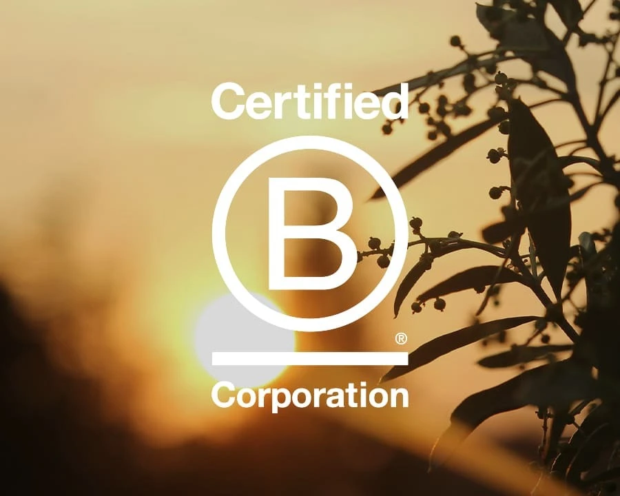 A B Corp logo against a flora during a sunset