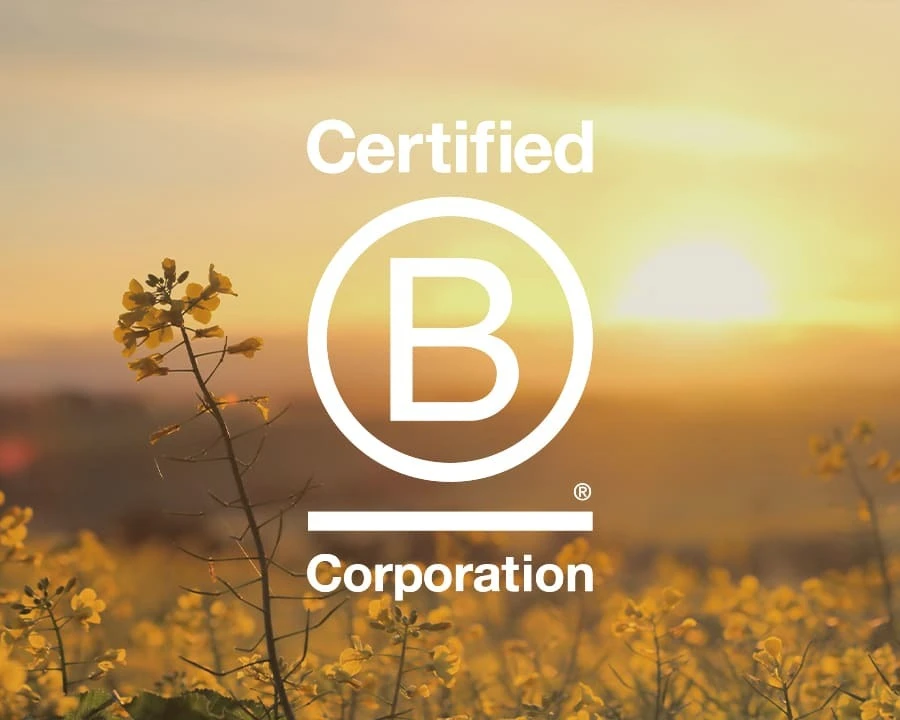 A B Corp logo against a gold field with a blooming canola in focus