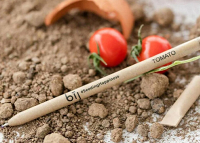 A pen laid on soil with a broken clay pot and fresh tomatoes