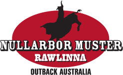 Nullarbor muster logo