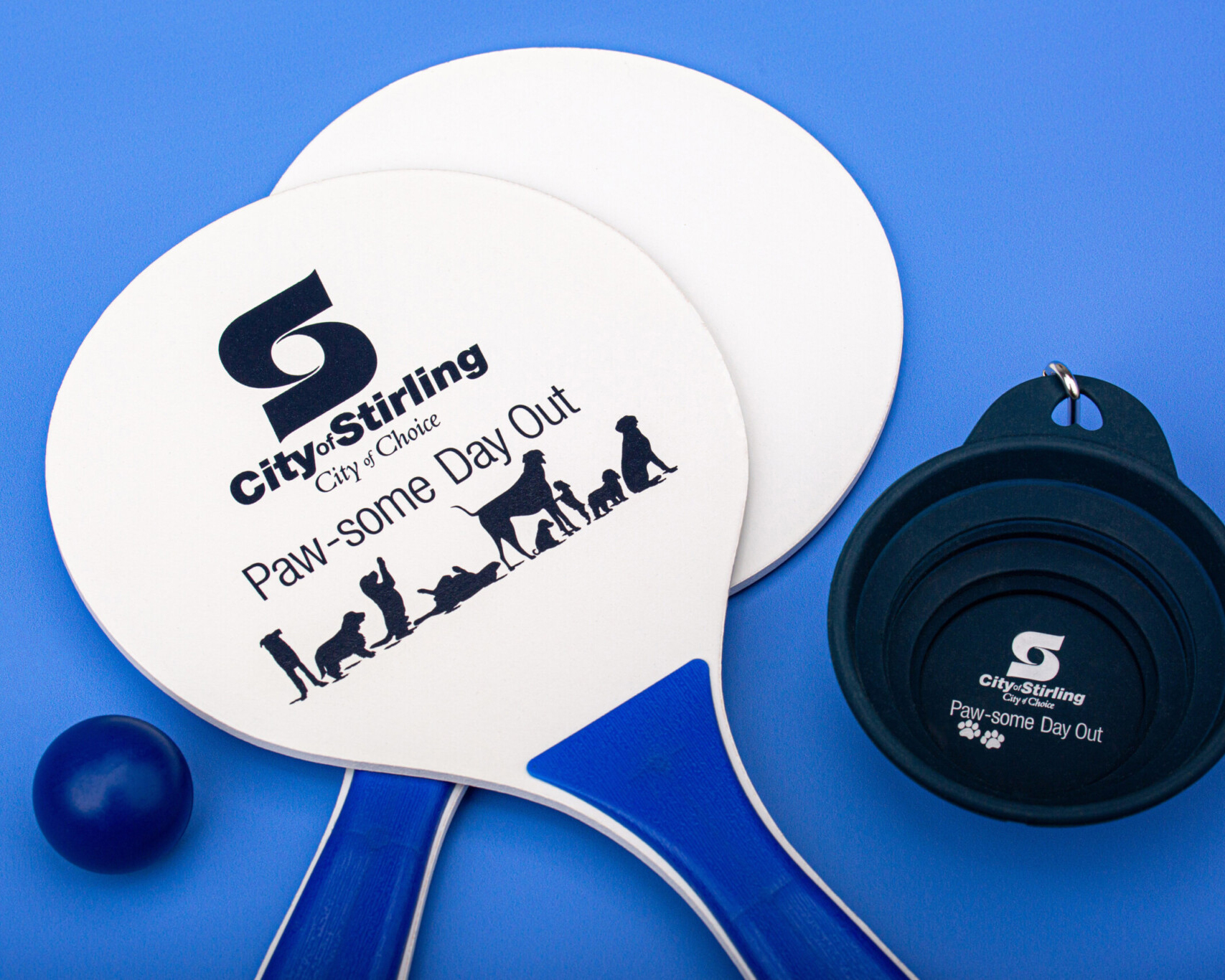 City of belmont ping pong paddles