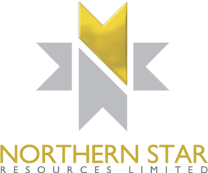 Northern star logo