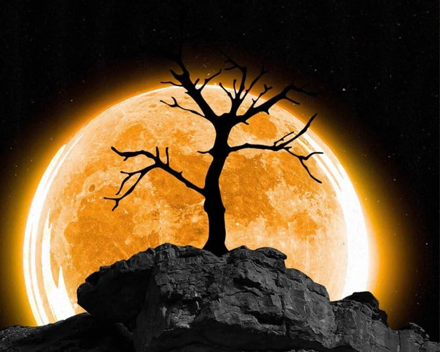 A tree in front of an orange moon