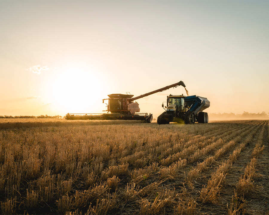 A tractor on a field harvesting wheat