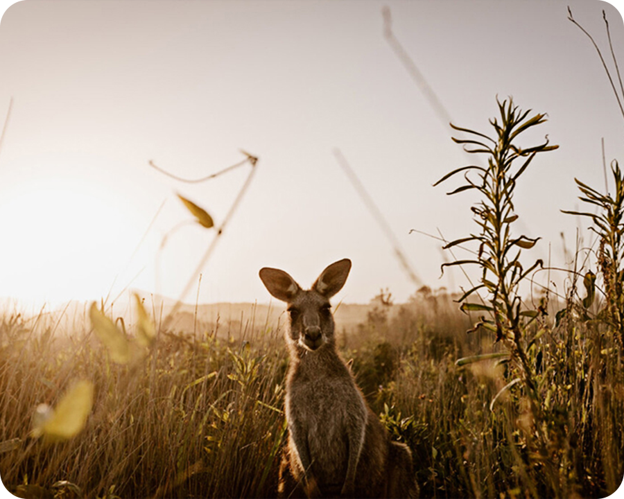 5 benefits to working with a B Corp