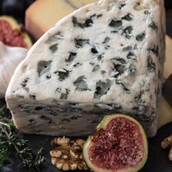 Mould Cheese Wheel