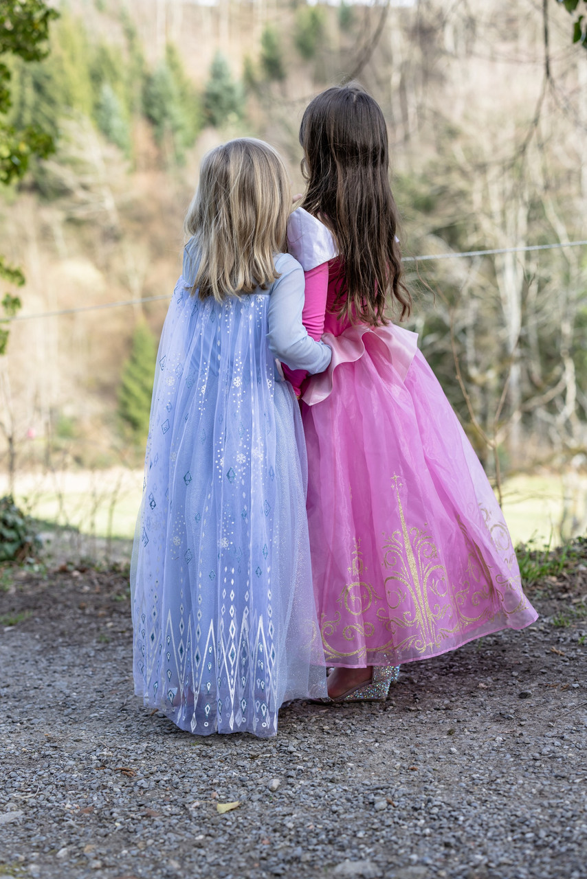 Once Upon a Princess Winter Gown 5-6 Just Imagine Costumes