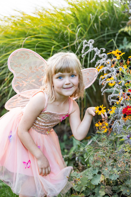 Butterfly Bliss Dress in Peach Size 5-6