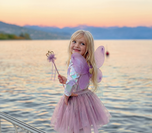 Purple Royal Fairy Set Size 4-6