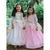 Pink Rose Princess Gown Size 3-4