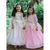 Pink Rose Princess Gown Size 7-8
