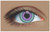 Contacts Sea Lord
