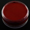 Cheek FX Face Paint - Red