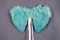 Mini Feather Wing Turquoise