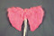 Mini Feather Wing Pink