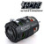 Team Zombie Evolution III Pro SPEC Stock Class 25.5T M-TZ-EVO3255T