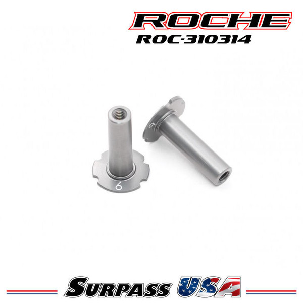 Roche - Rapide P12V2 Alum Kingpin, 6 Deg, 2 pcs (310314)