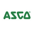 Asco 238210-058-D Replacement Coil, 240/60