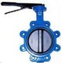 Dungs 266016 Lug Butterfly Valve, DN. 100