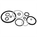 Chemflo 30061 3/4" T-21 Seal Carbon/Ceramic/Viton