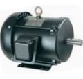 NAE F145T2M4A Motor