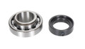 Bell & Gossett P2002450 Ball Bearing