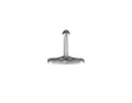 Polar 63 Plunger, 2-1/4", Zinc Plated