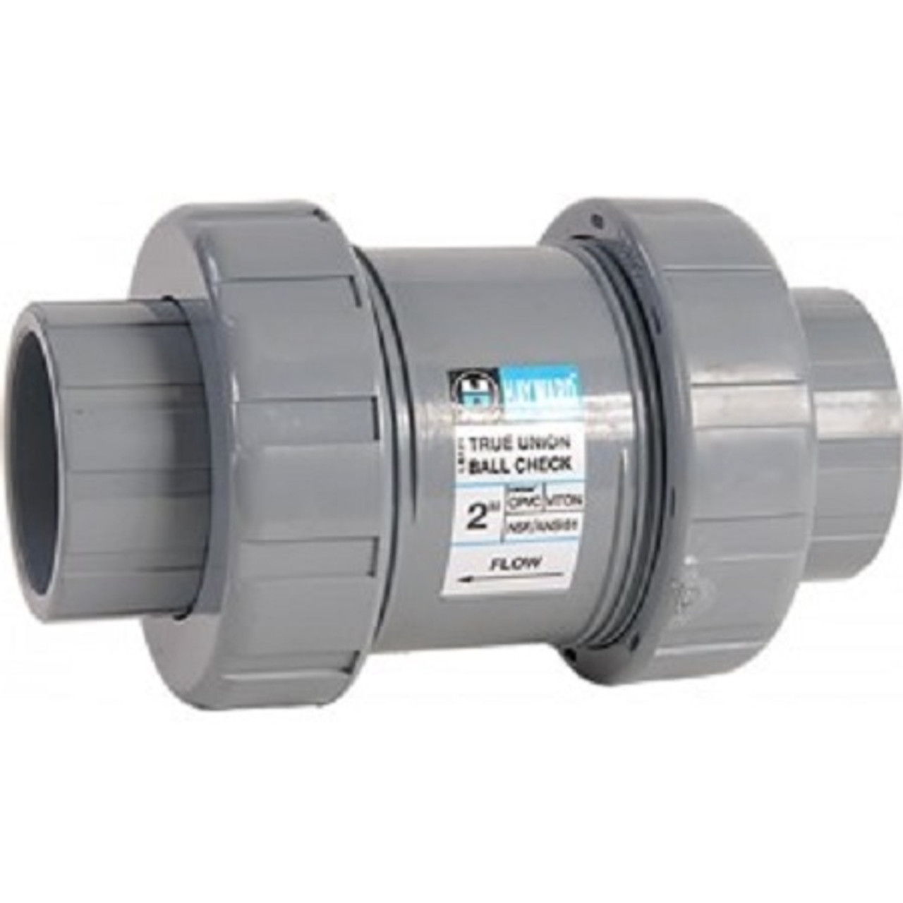 Hayward TC-20100-STE 1" CPVC Ball Check Valve