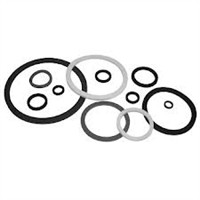 Chemflo 30061 3/4" T-21 Seal Carbon/Ceramic/Viton