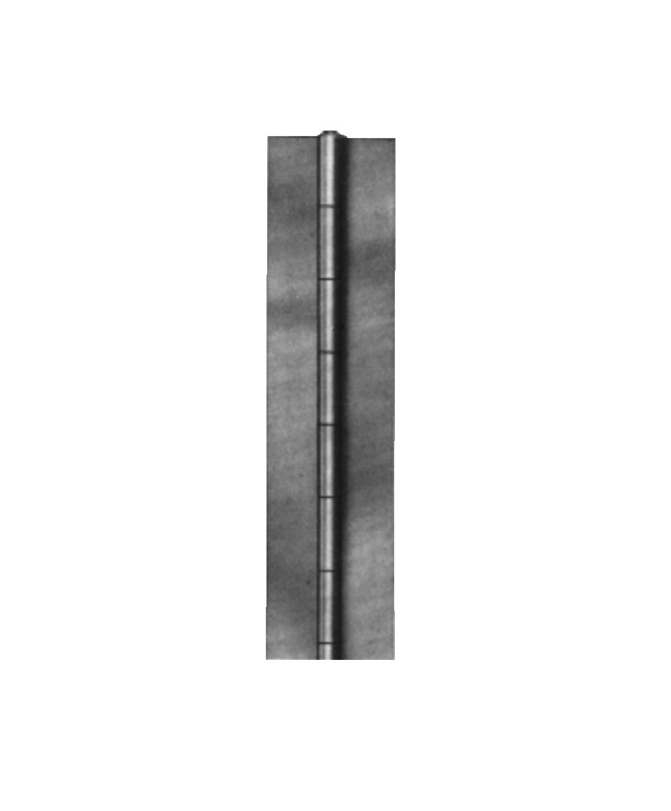 Polar 833 Continuous Hinge