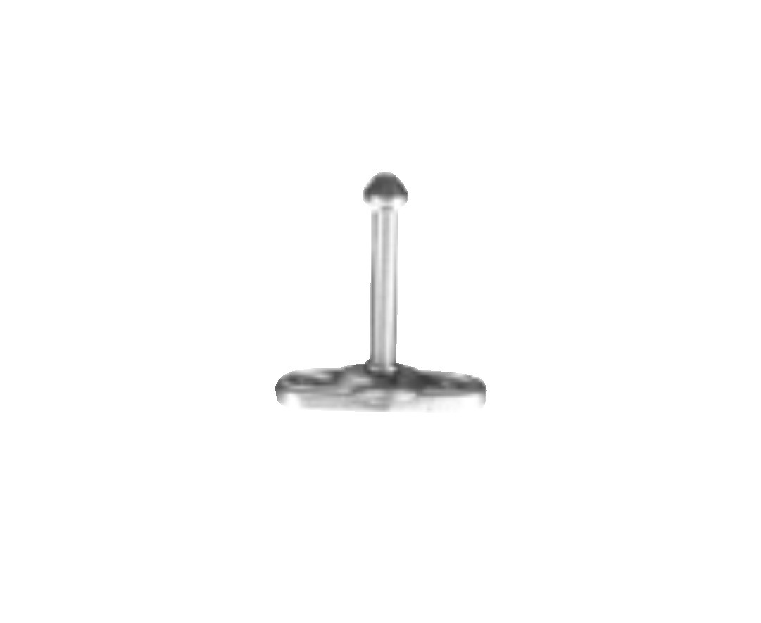 Polar 64 Plunger, 2-3/4", Zinc Plated