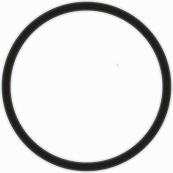 Dungs 243096 O-Ring; 34.00 x 2.00 Dungs 243096 O-Ring; 34.00 x 2.00
