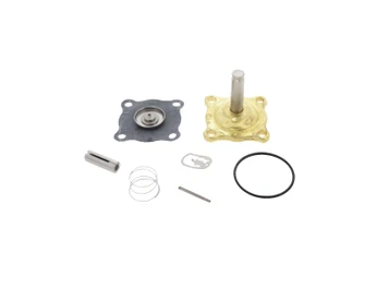 Asco 302273 Valve Rebuild Kit, 8210AC