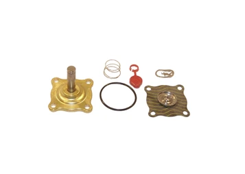 Asco 302277 Valve Rebuild Kit