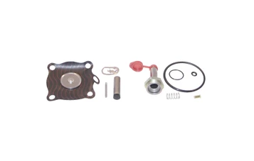 Asco 302279 Rebuild Kit for 8210AC Series Valves
