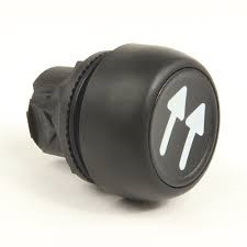 Allen Bradley 800FP-CD2U263 Momentary Push Button, 22mm