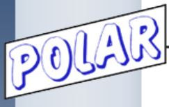 Polar 1806-103 Strap Only
