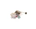 Asco 8044B1CSA Solenoid Valve, 3/4"