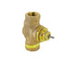 Schneider VB-7213-0-4-08 Globe Valve, 1"