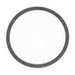 Bell & Gossett P04890 Body Gasket Bell & Gossett P04890 Body Gasket