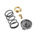Johnson VG7000-1001 3-6# Spring Kit