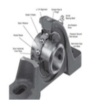 Pillow Block Bearings
