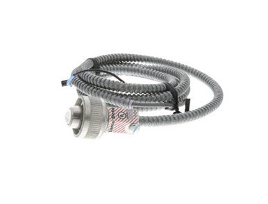 Sensore Temperatura Honeywell LP915A1044 – Nuovo In Scatola, Lunghezza Elemento 20'