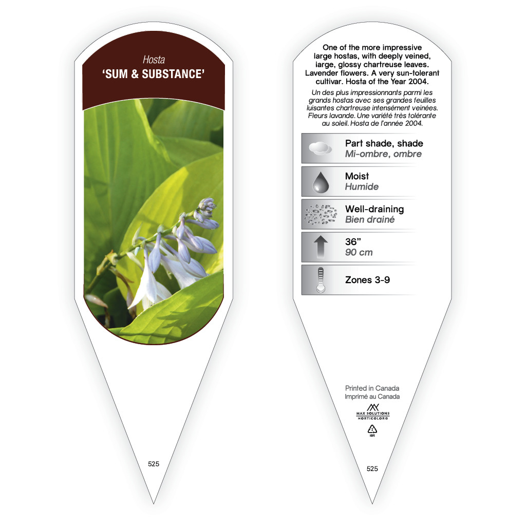 Hosta Sum and Substance sturdy plant id tag with description
