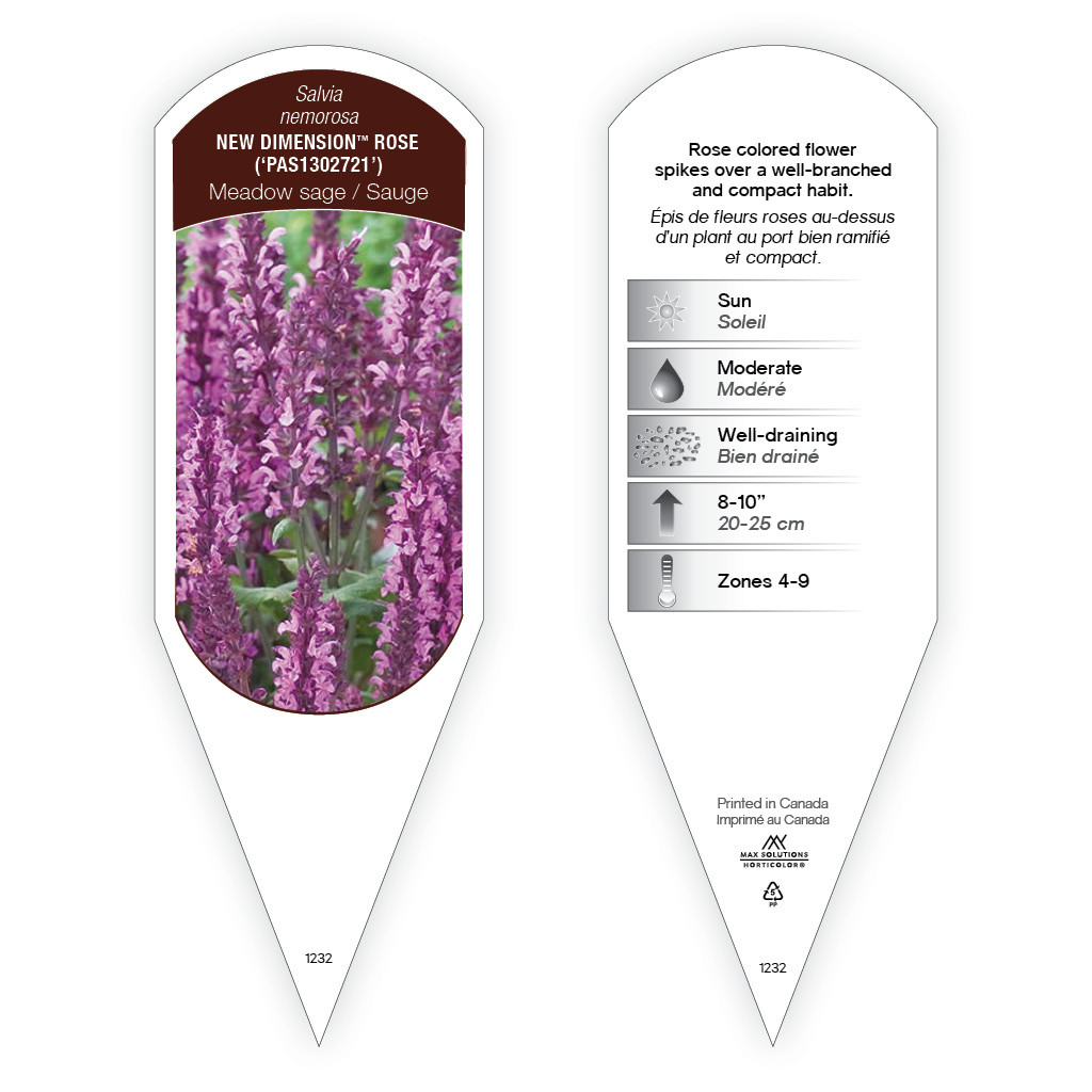 Salvia nemorosa New Dimension™ Rose sturdy plant id tag with