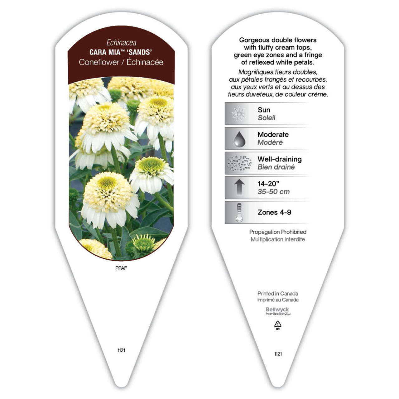 Echinacea Cara Mia Sands sturdy plant id tag with description