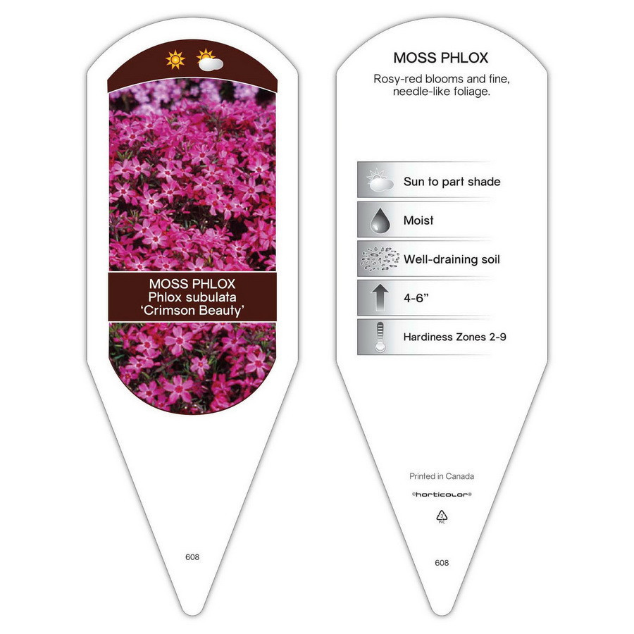 Phlox Crimson Beauty sturdy plant id tag with description, picture
