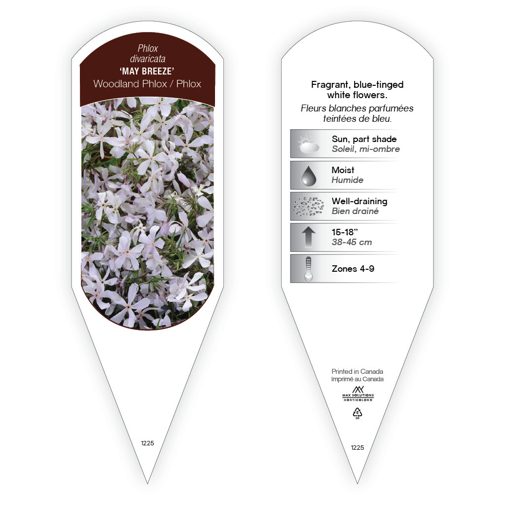 Phlox May Breeze sturdy plant id tag with description, picture